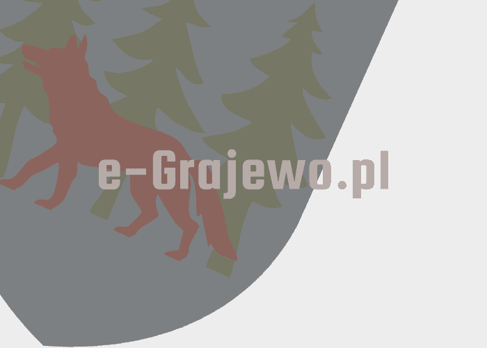 Grajewo ogłoszenia: Sprzedam skuter chińczyk 50 z przeznaczeniem na...